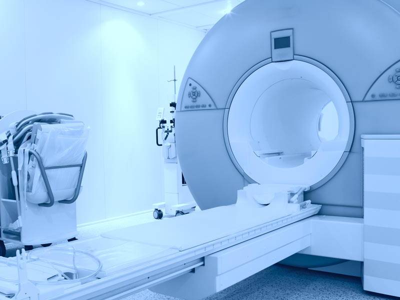 Histology and Imaging Analysis Services