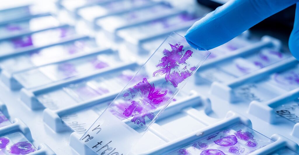 Histology and Imaging Analysis Services