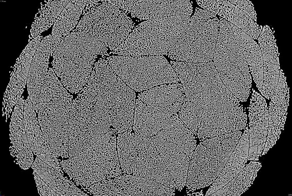 Advanced Microscopy service using micro ct