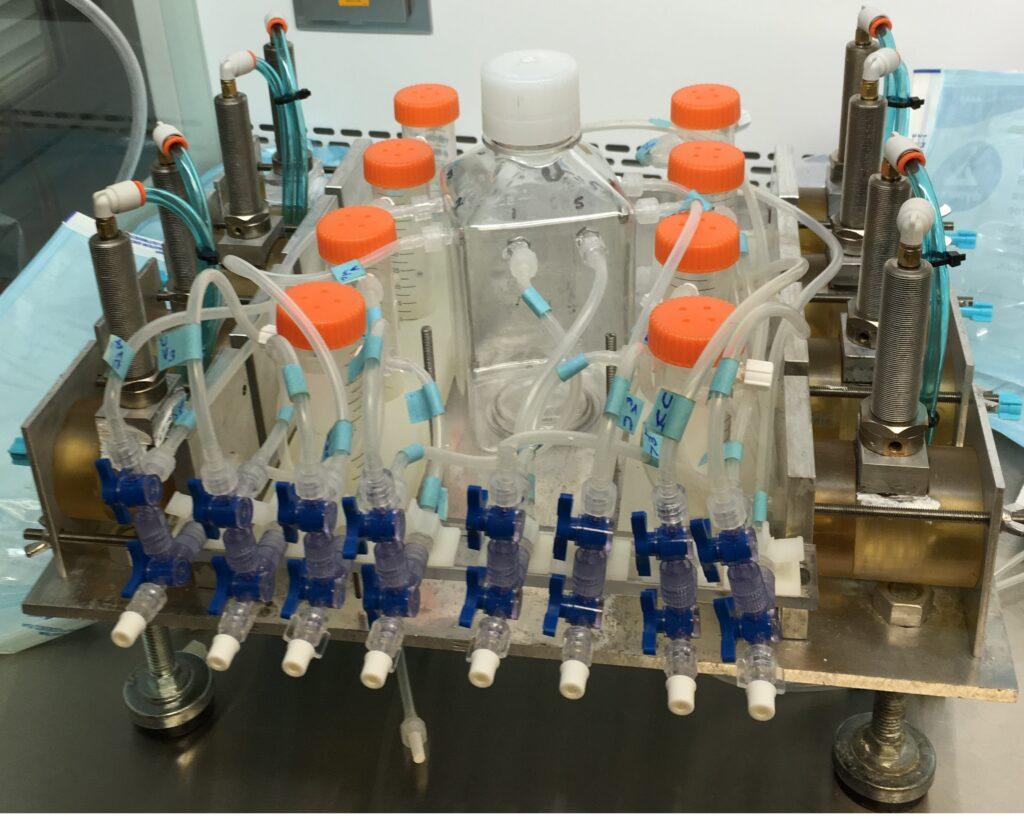 Ex-Vivo Bioreactor - custom development