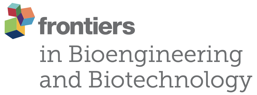 Surface modification of Polyether-ether-ketone for enhanced cell response: a chemical etching approach