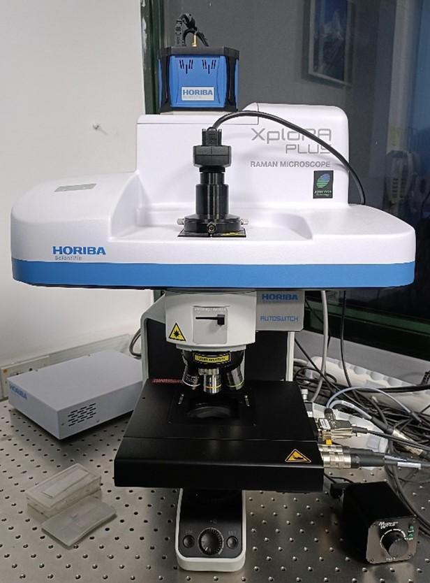 Raman microscope configuration with laser excitation and optical components