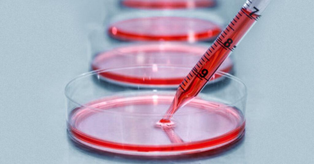 In-Vitro Tissue Culture in petri dishes