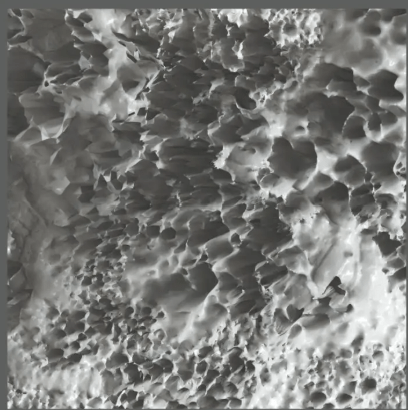 Decellularization & Scaffold Characterization