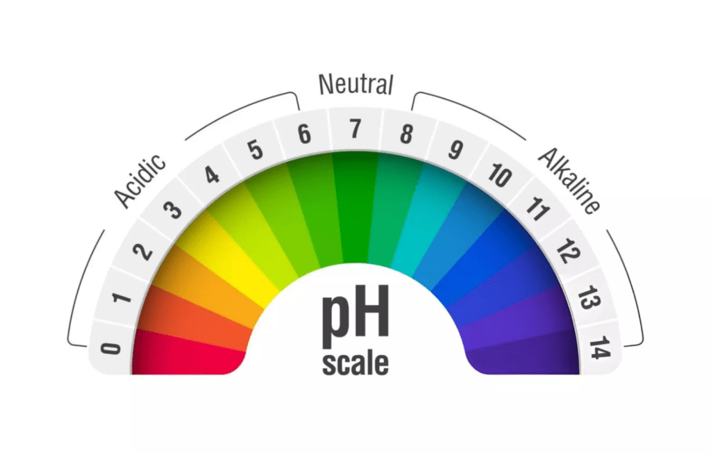 pH electrode measuring acidity and alkalinity of a liquid sample