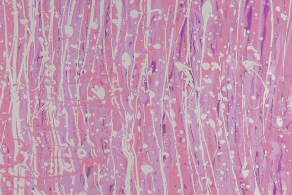 In-Vitro Tissue Culture & Functional Assays