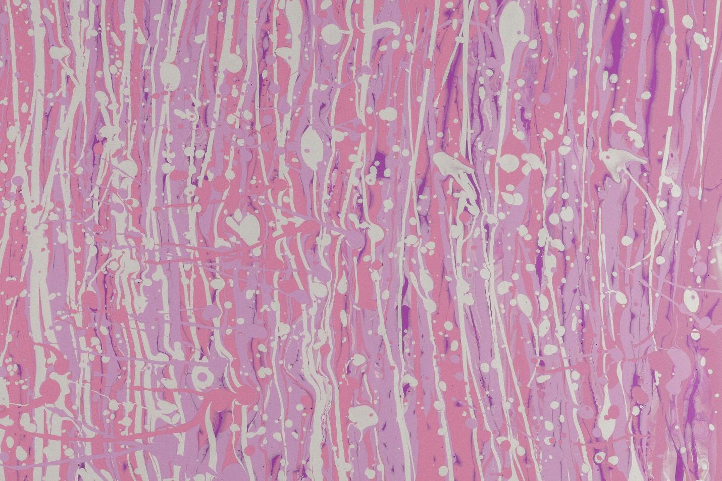 In-Vitro Tissue Culture & Functional Assays