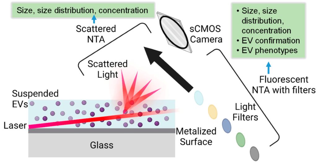 Schematic illustrating NTA principle and Brownian motion tracking of nanoparticles
