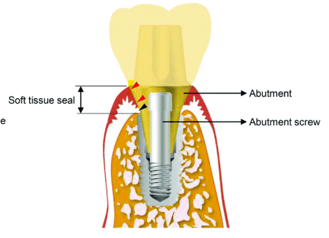 Bio-Interface & Integration Analysis