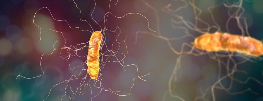 Aerobic & Anaerobic Culture Testing by Materials Metric