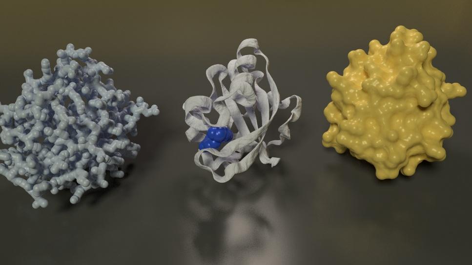 Computational Genomic Modeling & Molecular Docking