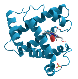 Integration with Experimental Testing