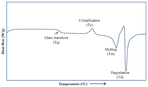 DSC thermogram showing heat flow versus temperature with thermal transitions