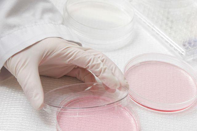 biocompatibility testing for medical devices laboratory analysis under ISO 10993