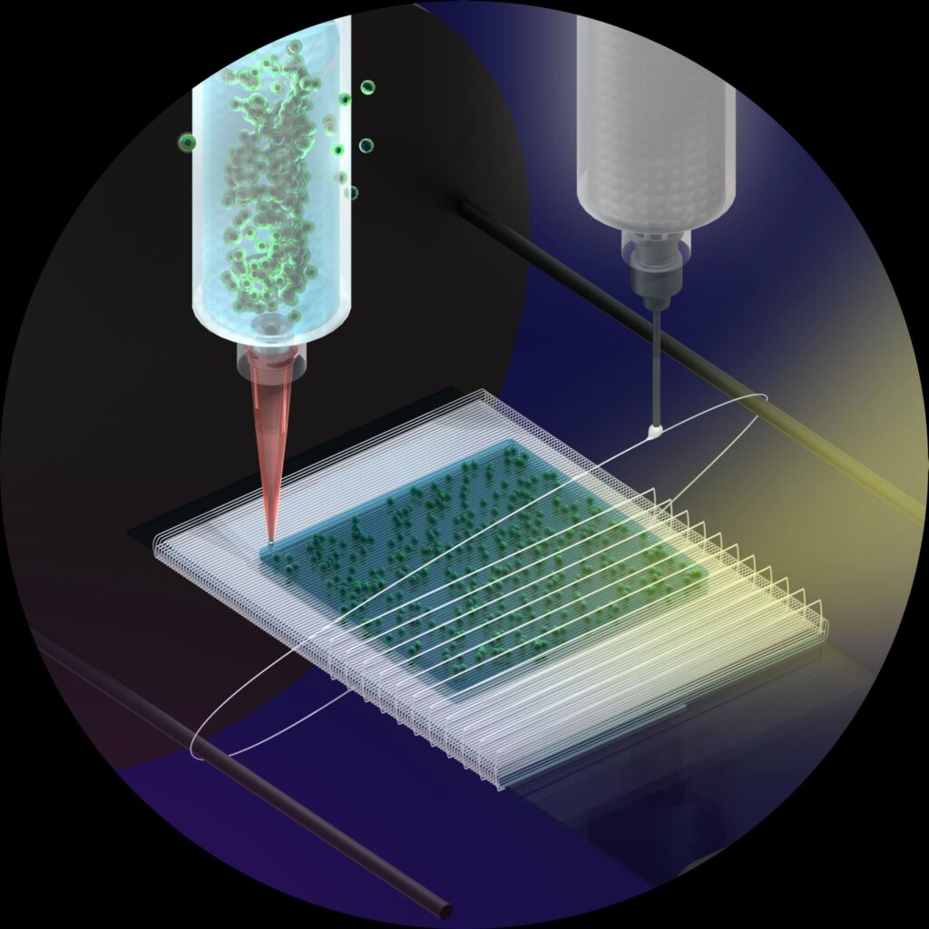 Bioprinting at Materials Metric
