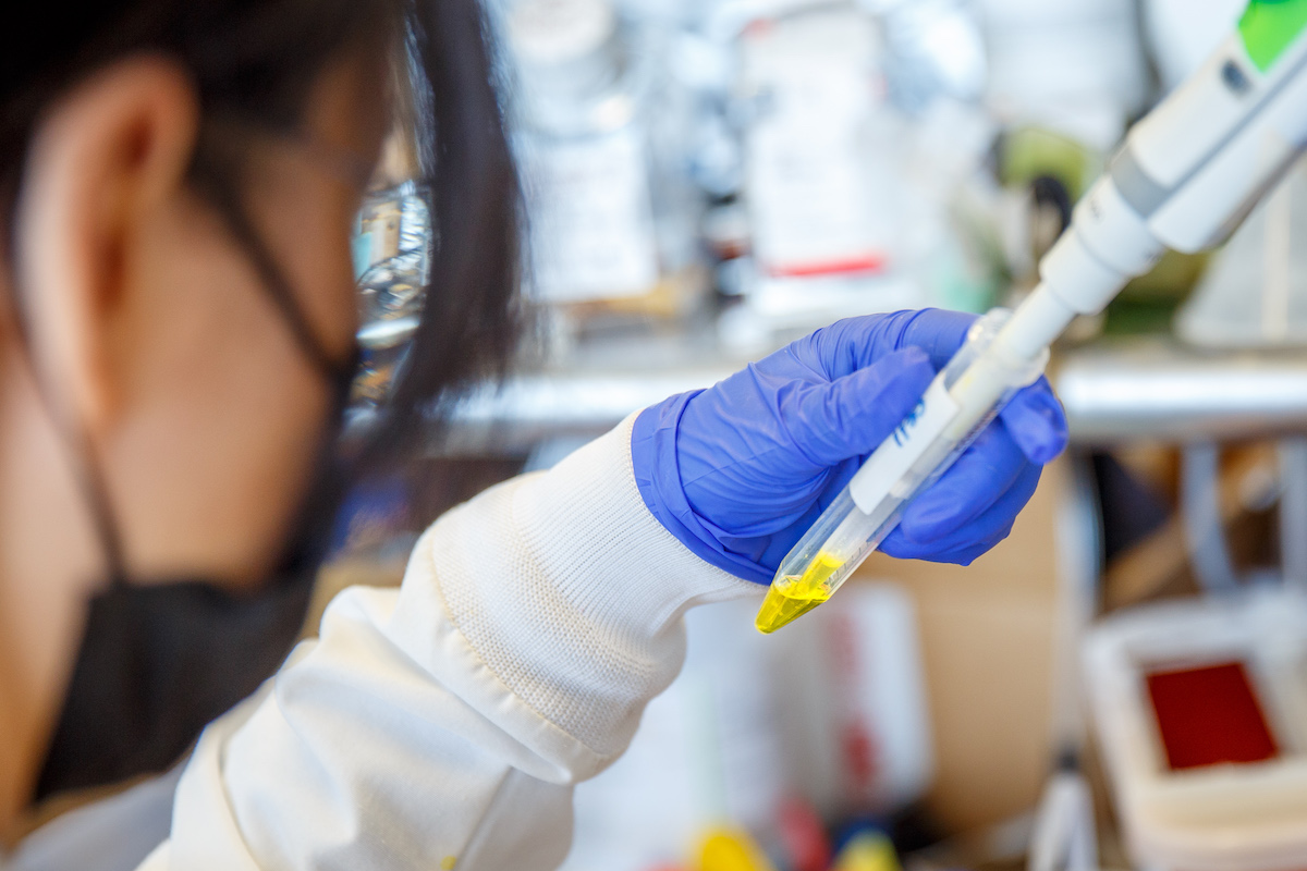 Bioink formulation at Materials Metric