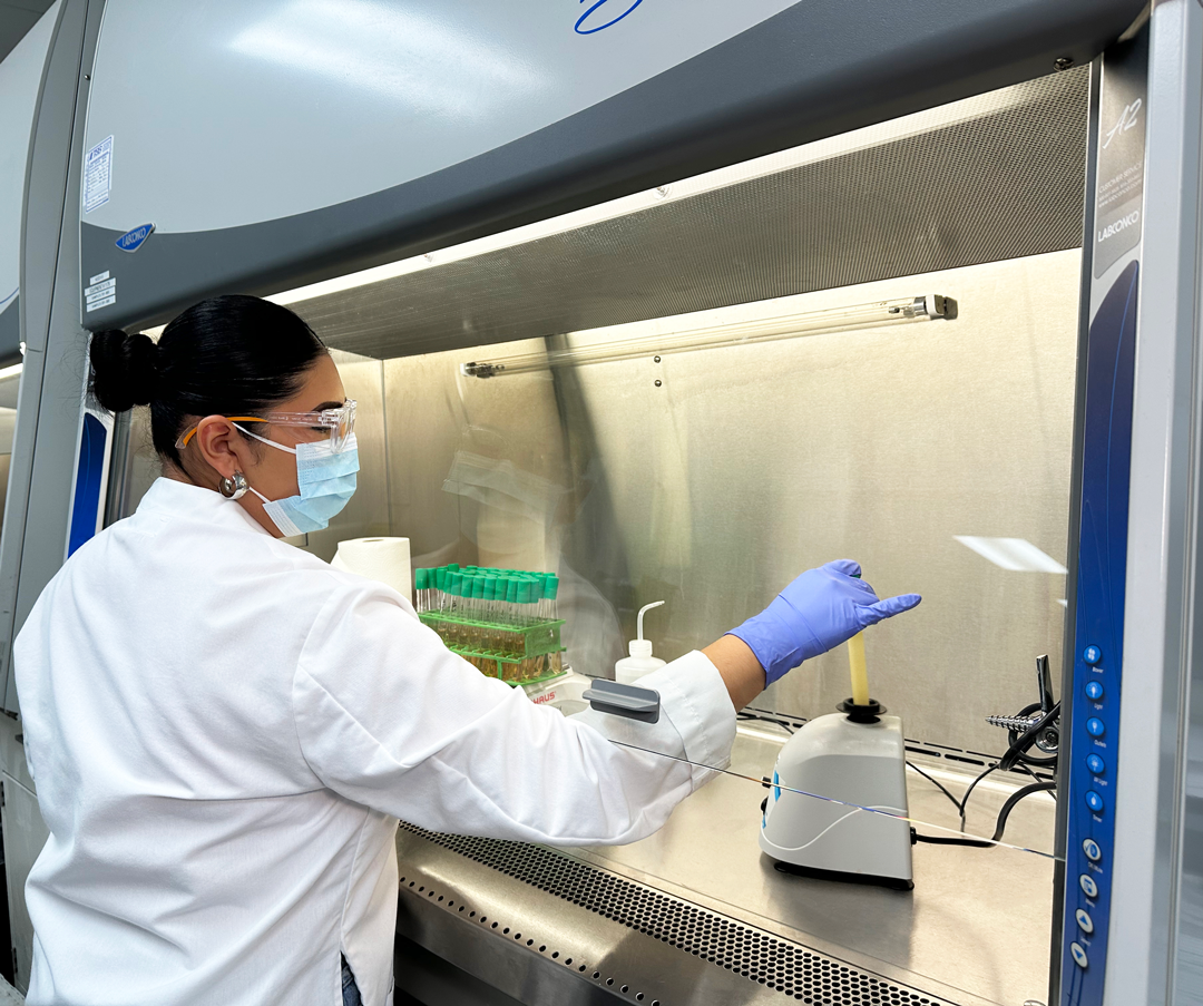 Cosmetic Microbiology & Preservative Efficacy Testing