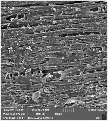Coating Failure Analysis, Paint & Adhesive Testing