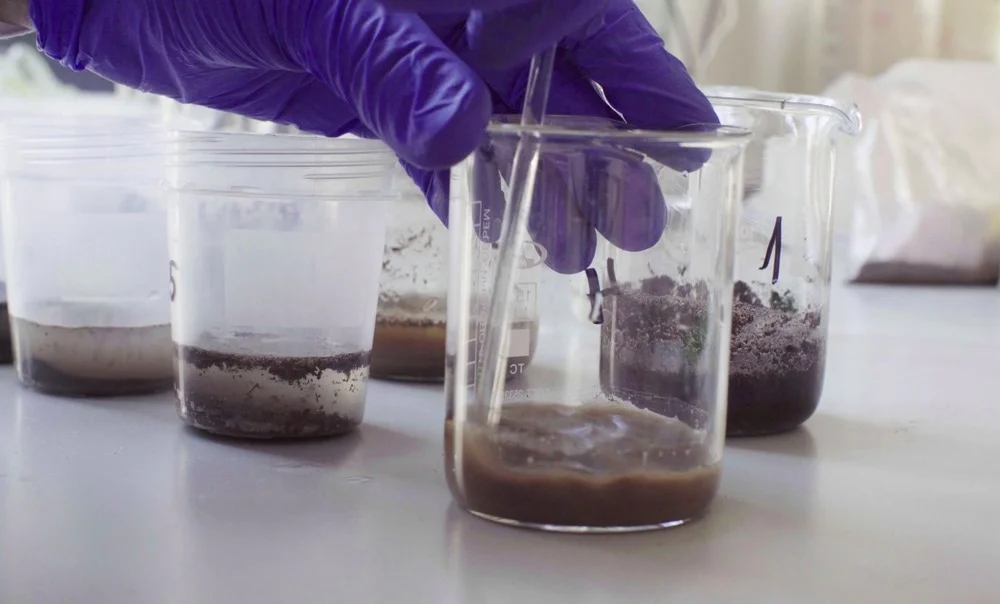 Environmental Sample & Water Contaminant Analysis