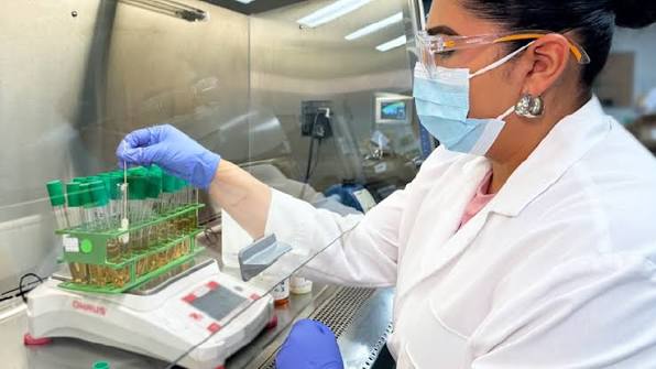 Cosmetic Microbiology & Preservative Efficacy Testing