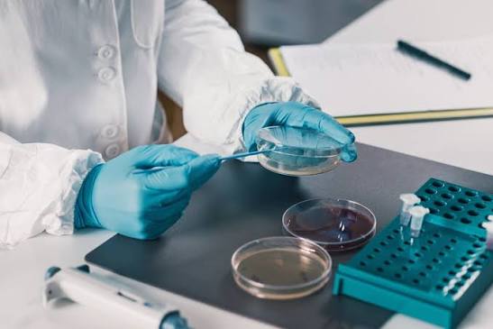 Cosmetic Microbiology & Preservative Efficacy Testing